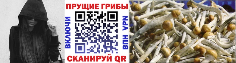 Галлюциногенные грибы ЛСД  мега сайт  Мамоново 
